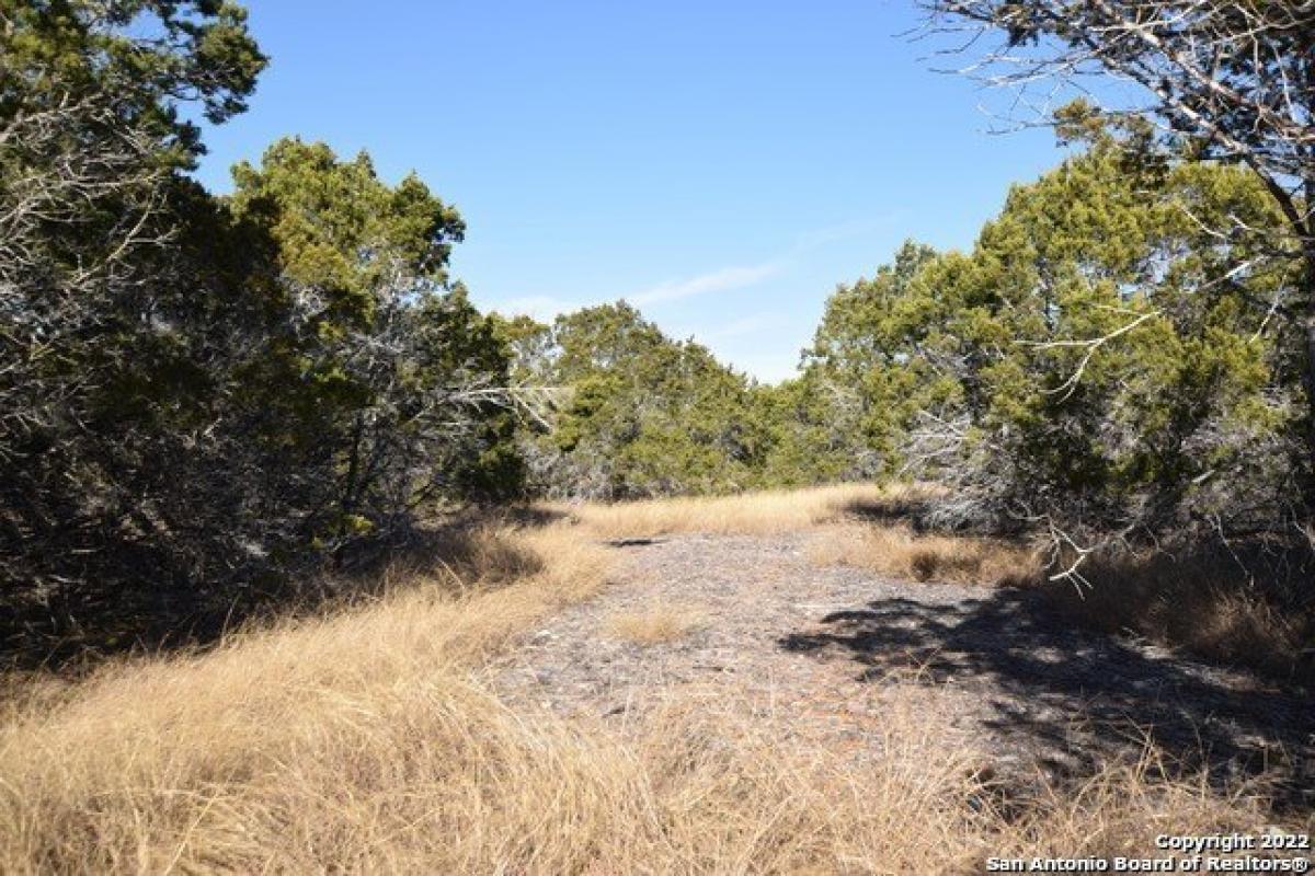 Picture of Residential Land For Sale in Pipe Creek, Texas, United States