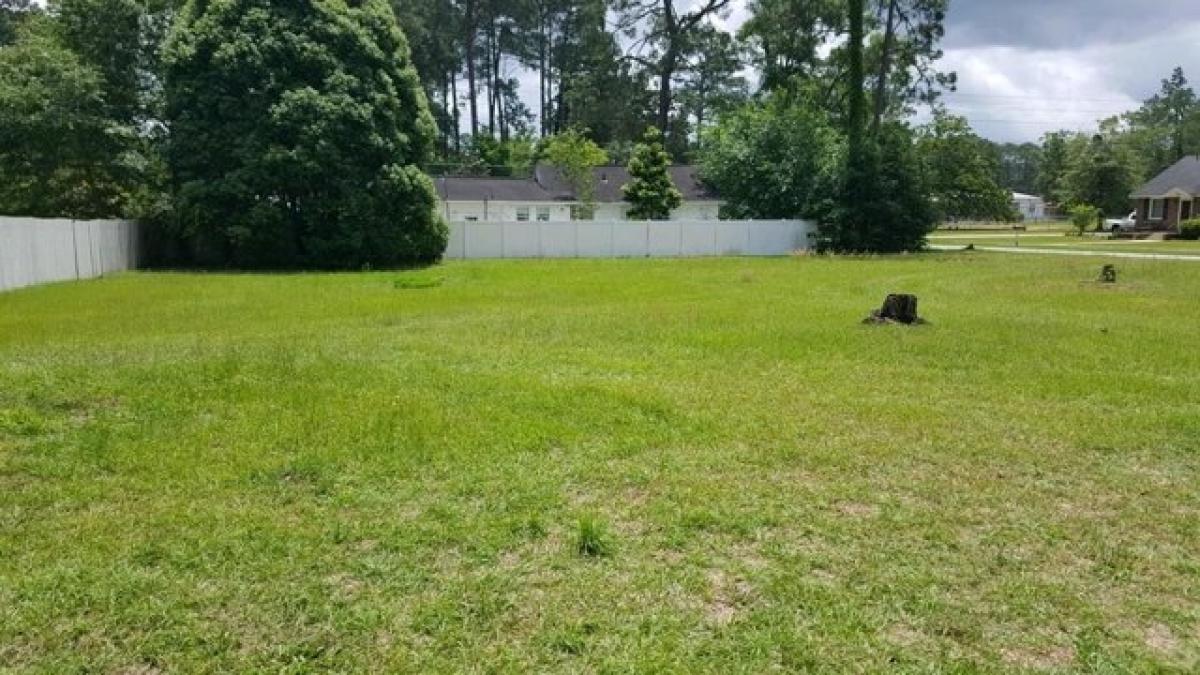 Picture of Residential Land For Sale in Jesup, Georgia, United States