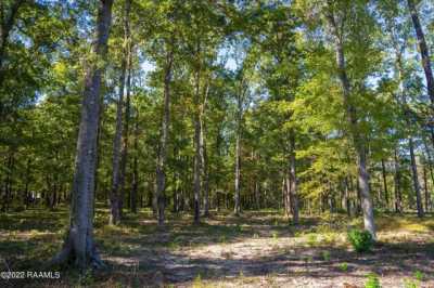 Residential Land For Sale in Chatham, Louisiana