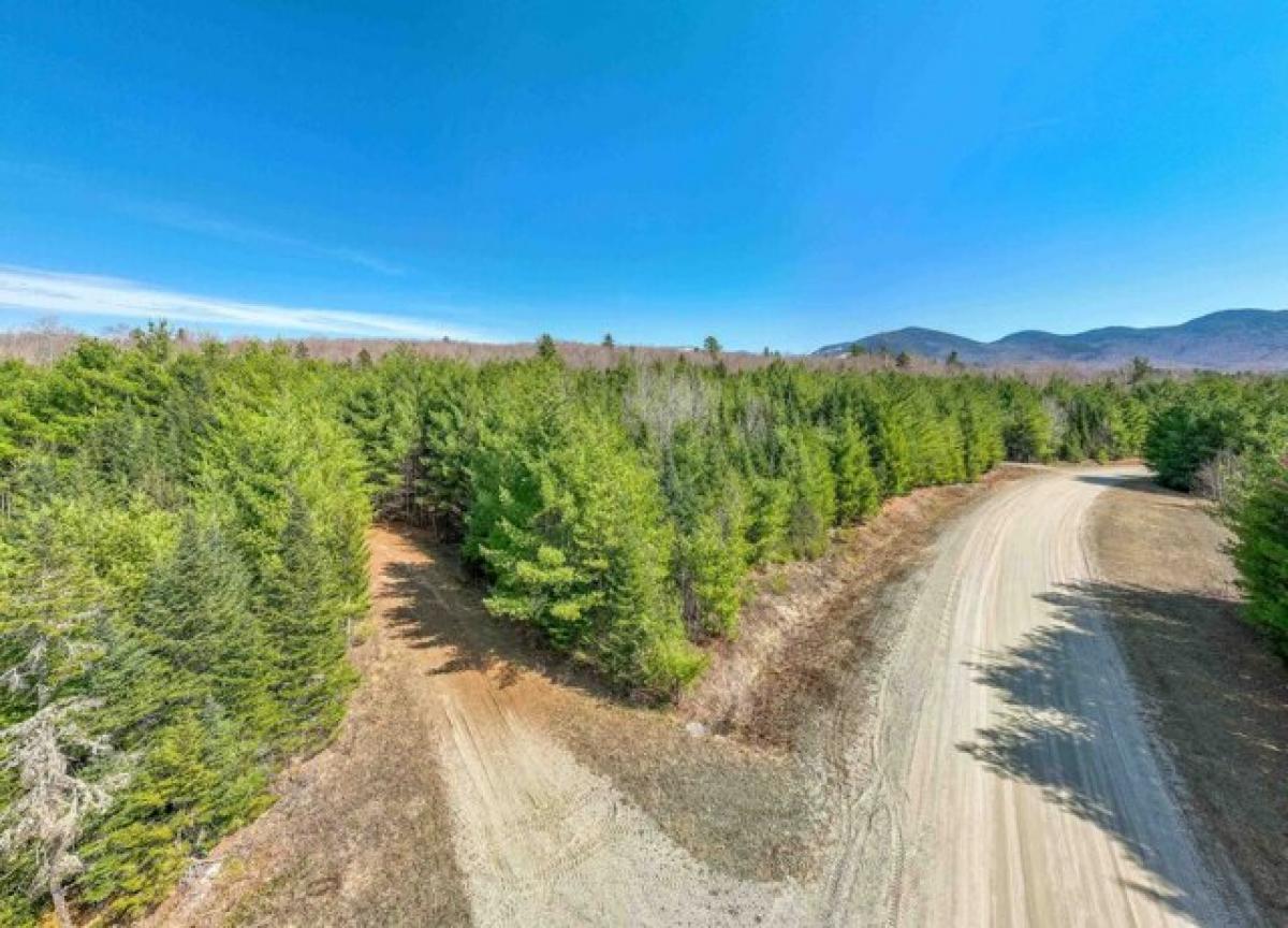 Picture of Residential Land For Sale in Franconia, New Hampshire, United States