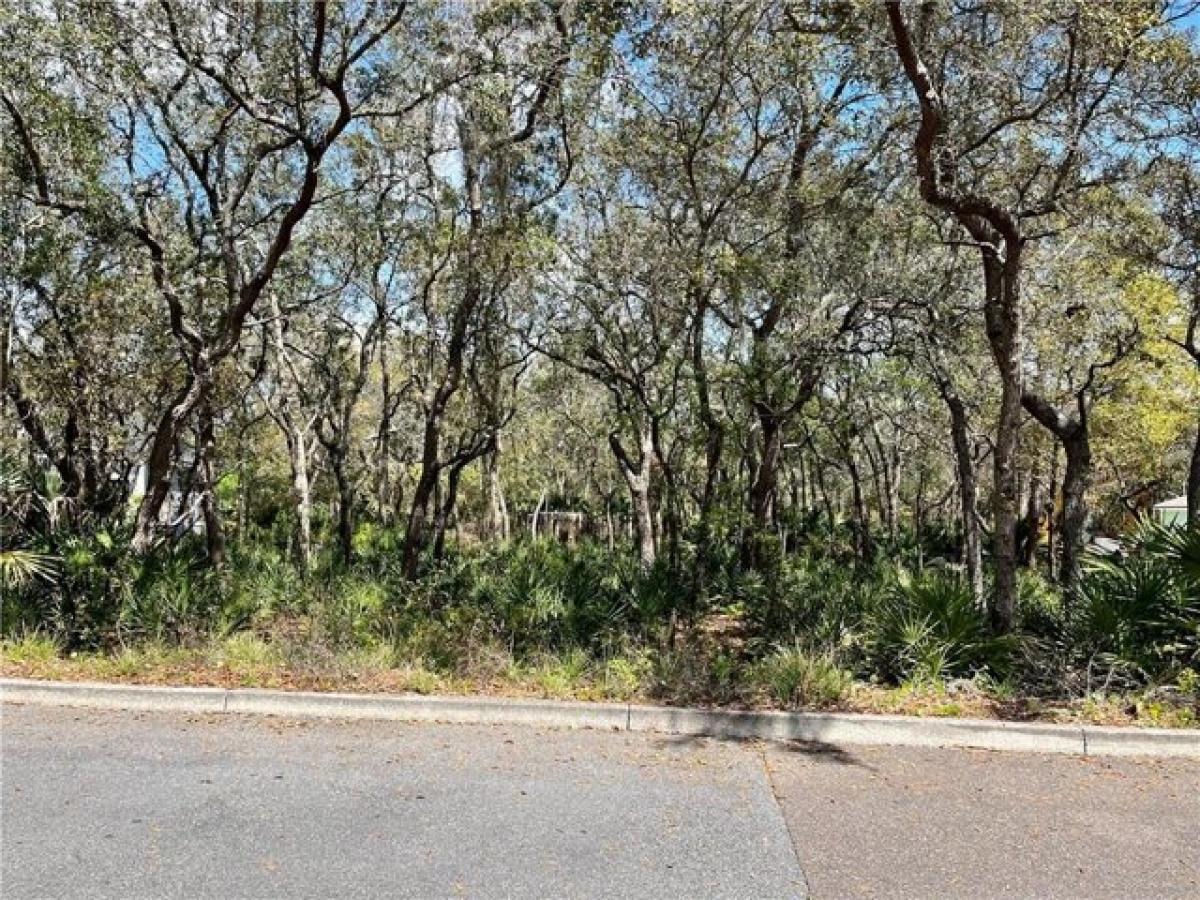 Picture of Residential Land For Sale in Fernandina Beach, Florida, United States