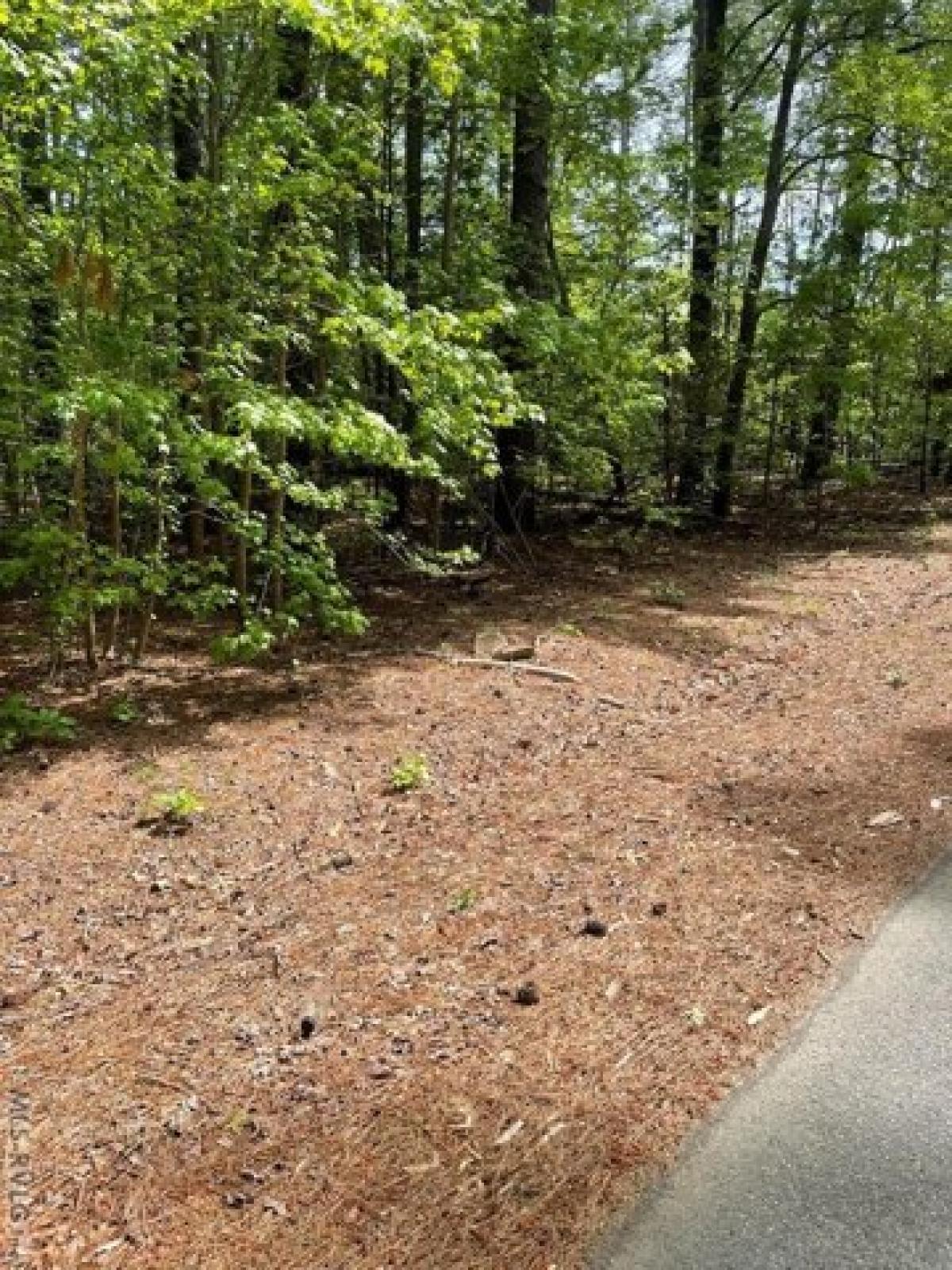 Picture of Residential Land For Sale in Alberta, Virginia, United States