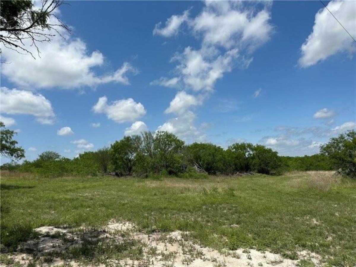 Picture of Residential Land For Sale in George West, Texas, United States