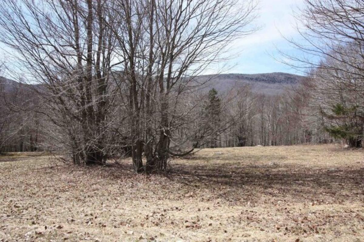 Picture of Residential Land For Sale in Dorset, Vermont, United States