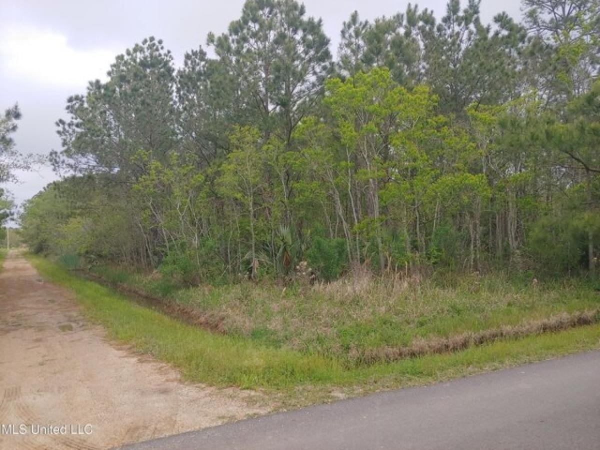 Picture of Residential Land For Sale in Bay Saint Louis, Mississippi, United States