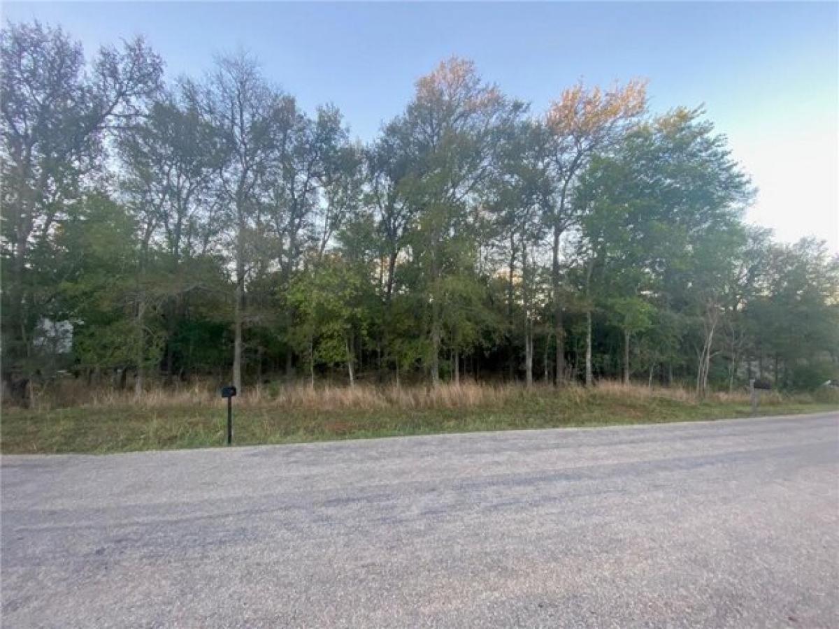 Picture of Residential Land For Sale in Bastrop, Texas, United States