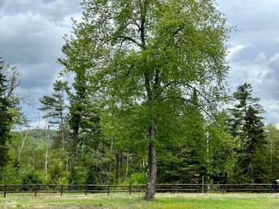 Residential Land For Sale in Stony Creek, New York