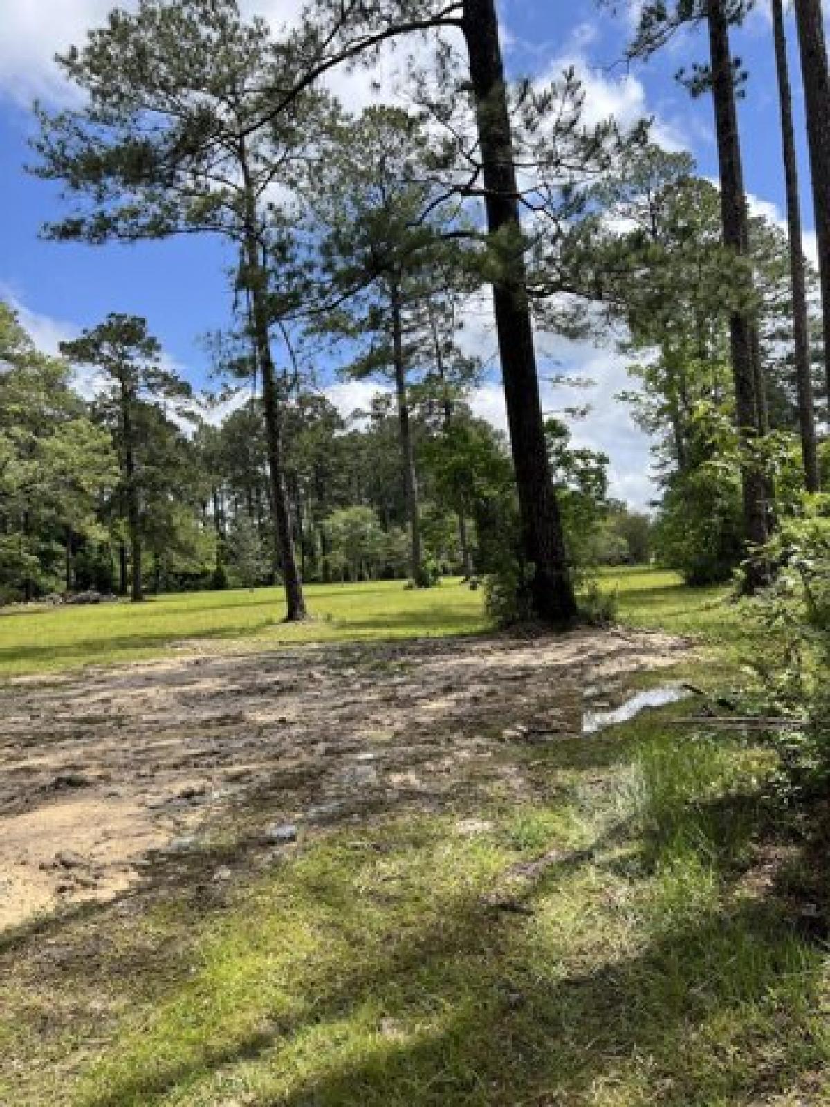 Picture of Residential Land For Sale in Deridder, Louisiana, United States