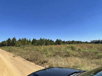 Residential Land For Sale in Westville, Florida