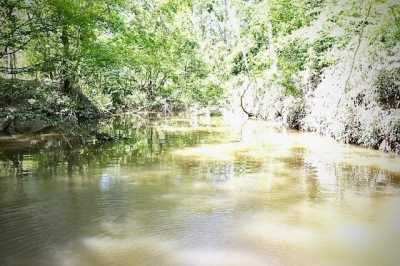 Residential Land For Sale in Sugartown, Louisiana