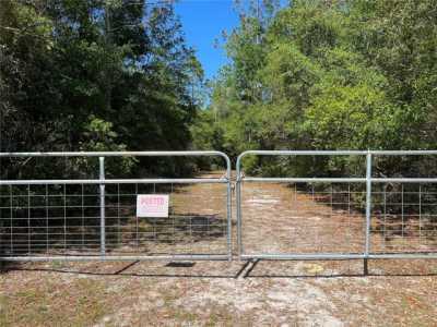 Residential Land For Sale in Steinhatchee, Florida