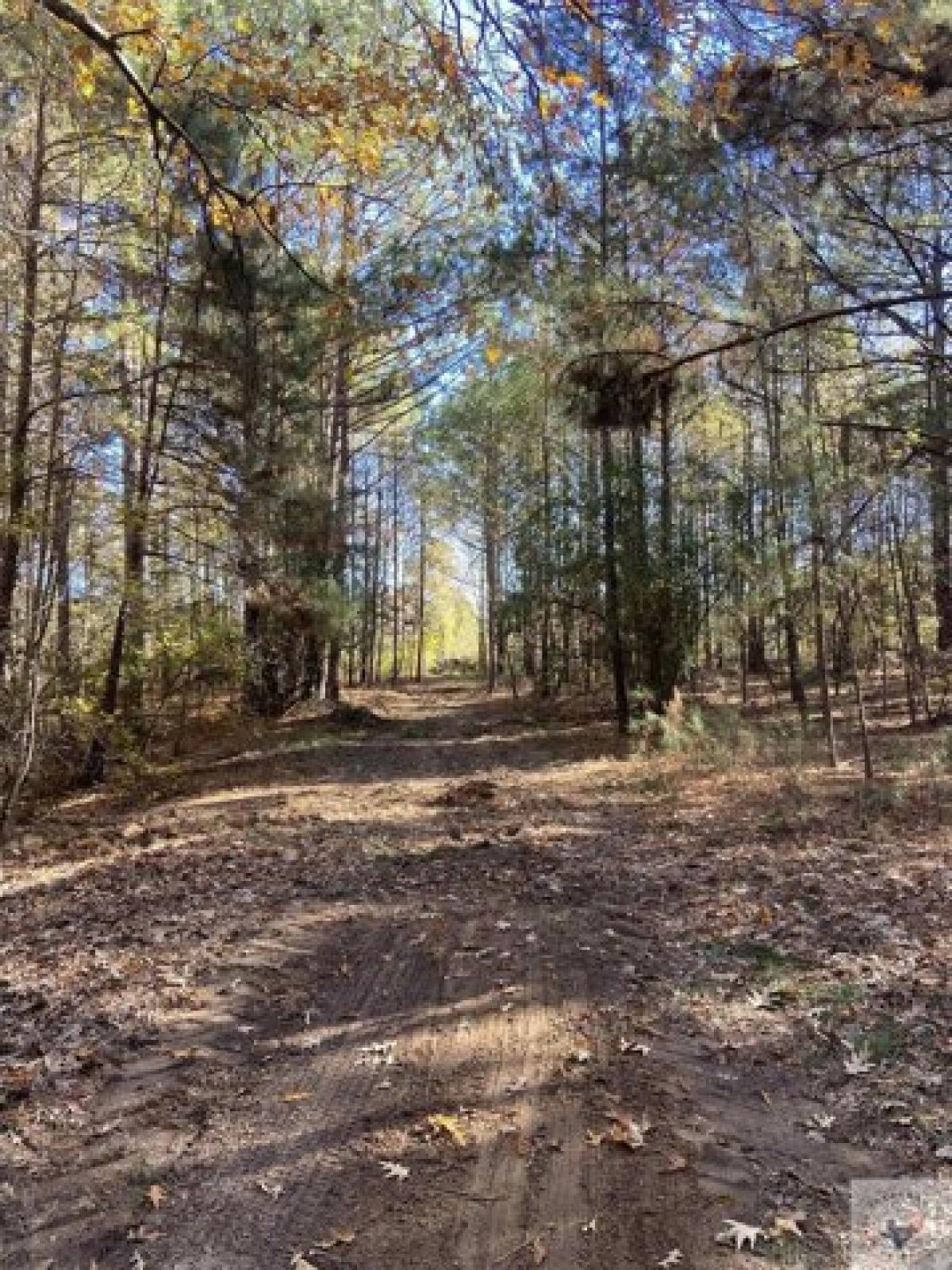 Picture of Residential Land For Sale in Bloomburg, Texas, United States