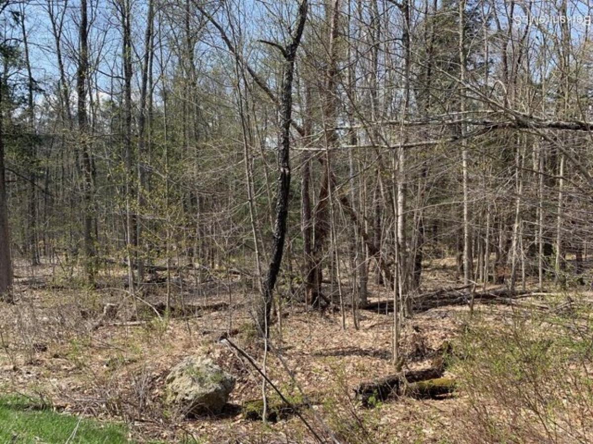 Picture of Residential Land For Sale in Becket, Massachusetts, United States