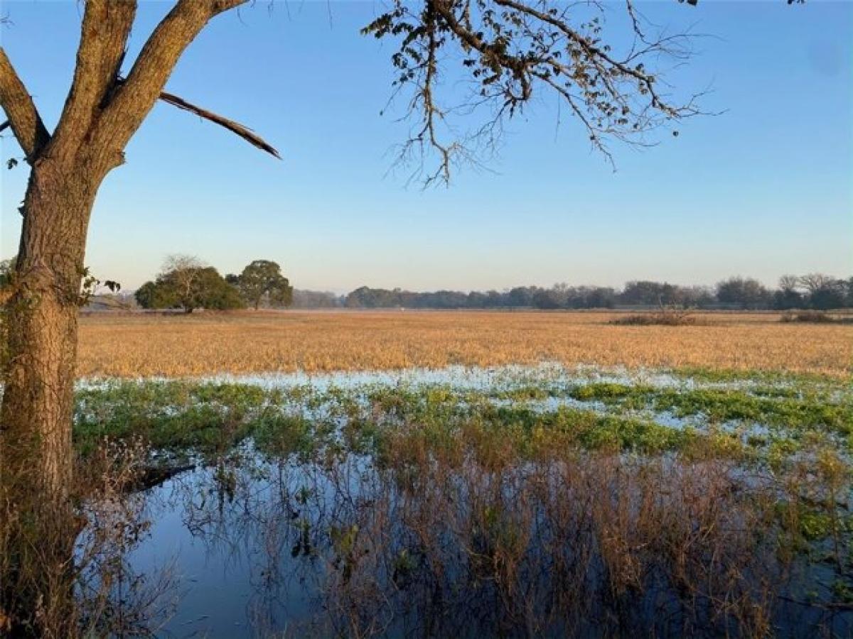 Picture of Residential Land For Sale in Ledbetter, Texas, United States