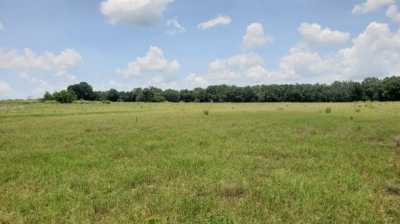 Residential Land For Sale in Thonotosassa, Florida