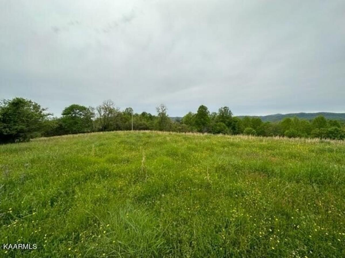 Picture of Residential Land For Sale in Rose Hill, Virginia, United States