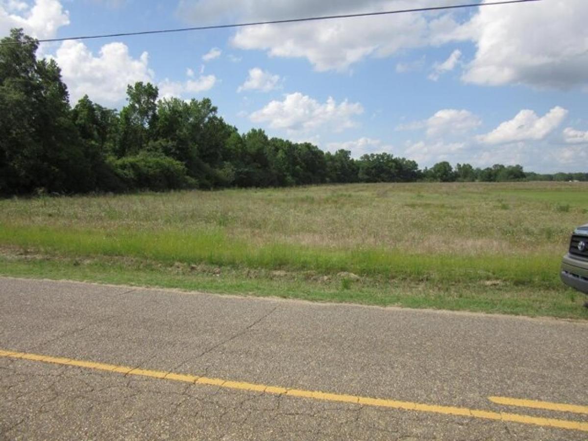 Picture of Residential Land For Sale in Ashford, Alabama, United States