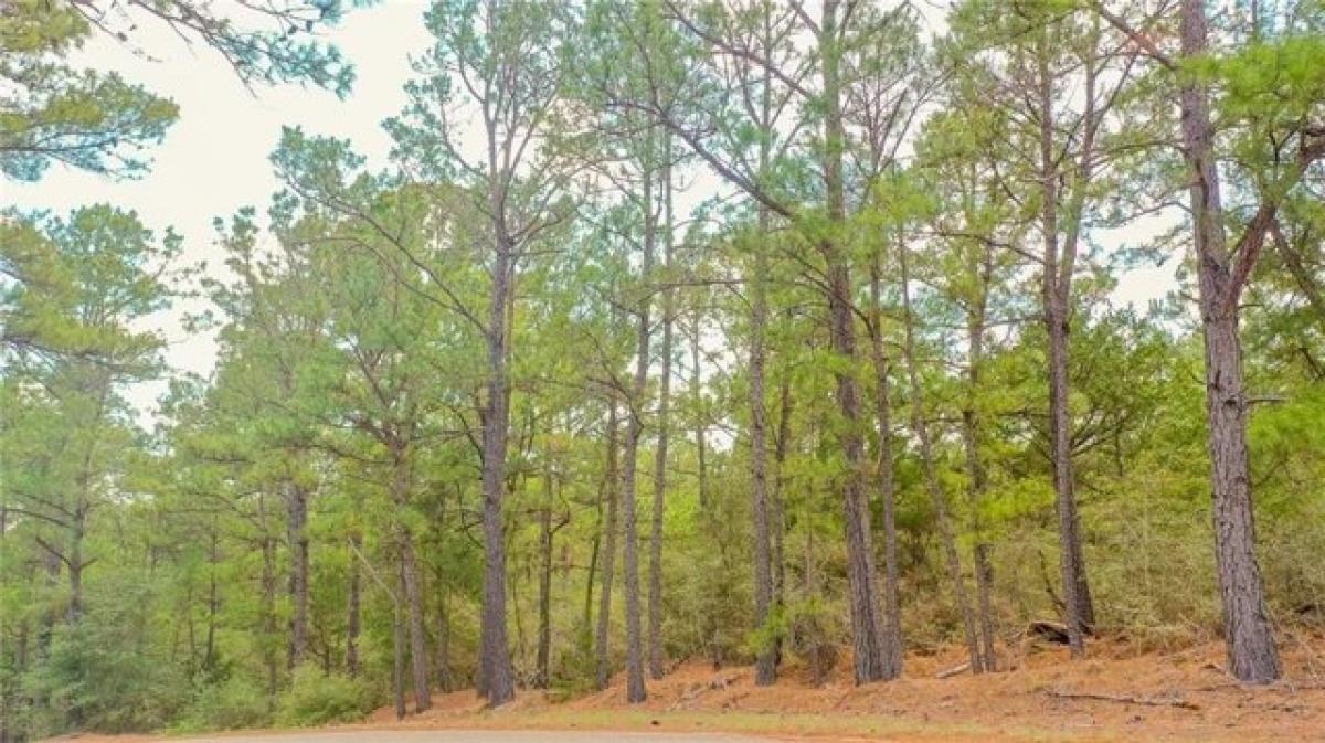 Picture of Residential Land For Sale in Smithville, Texas, United States