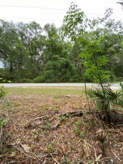 Residential Land For Sale in Old Town, Florida