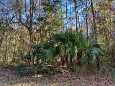 Residential Land For Sale in Hilliard, Florida