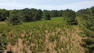 Residential Land For Sale in Taylorsville, Mississippi