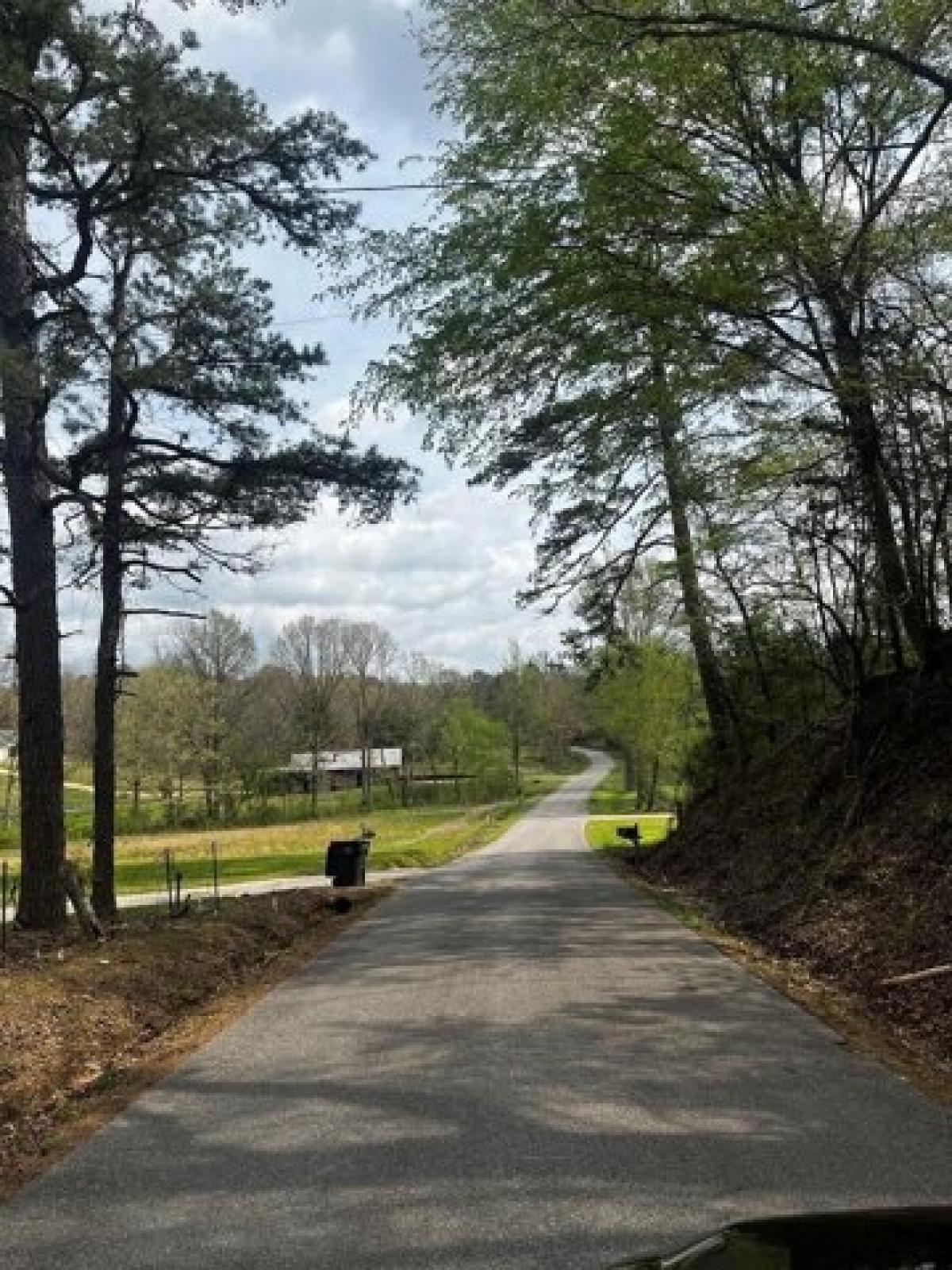 Picture of Residential Land For Sale in Water Valley, Mississippi, United States