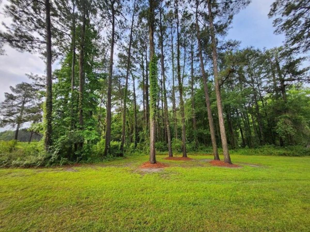 Picture of Residential Land For Sale in Thomasville, Georgia, United States