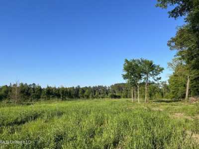 Residential Land For Sale in Pelahatchie, Mississippi