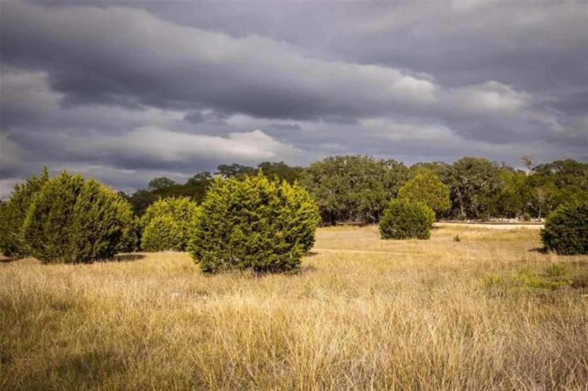 Picture of Residential Land For Sale in Driftwood, Texas, United States