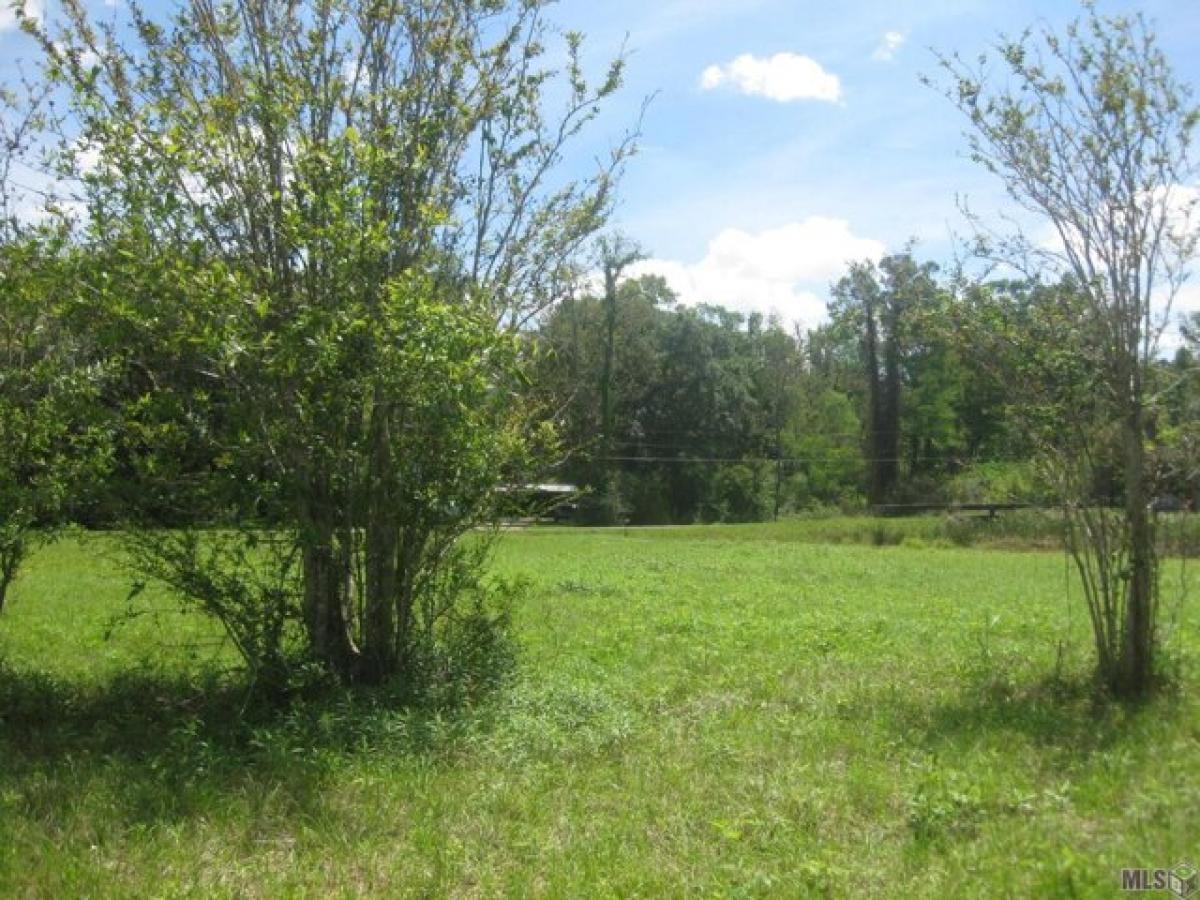 Picture of Residential Land For Sale in Port Vincent, Louisiana, United States