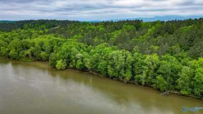 Residential Land For Sale in Cedar Bluff, Alabama