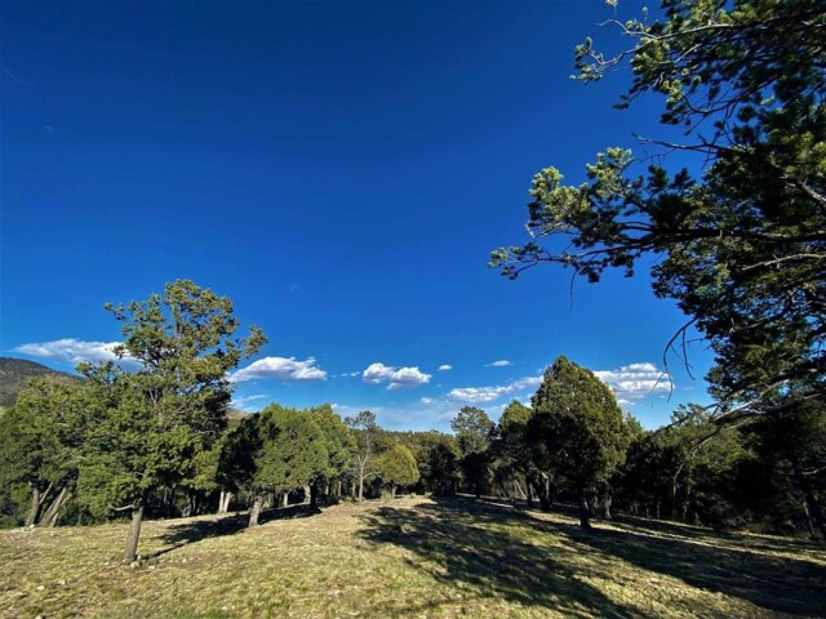 Picture of Home For Sale in Timberon, New Mexico, United States