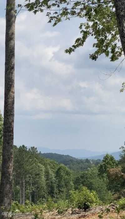 Residential Land For Sale in Talking Rock, Georgia