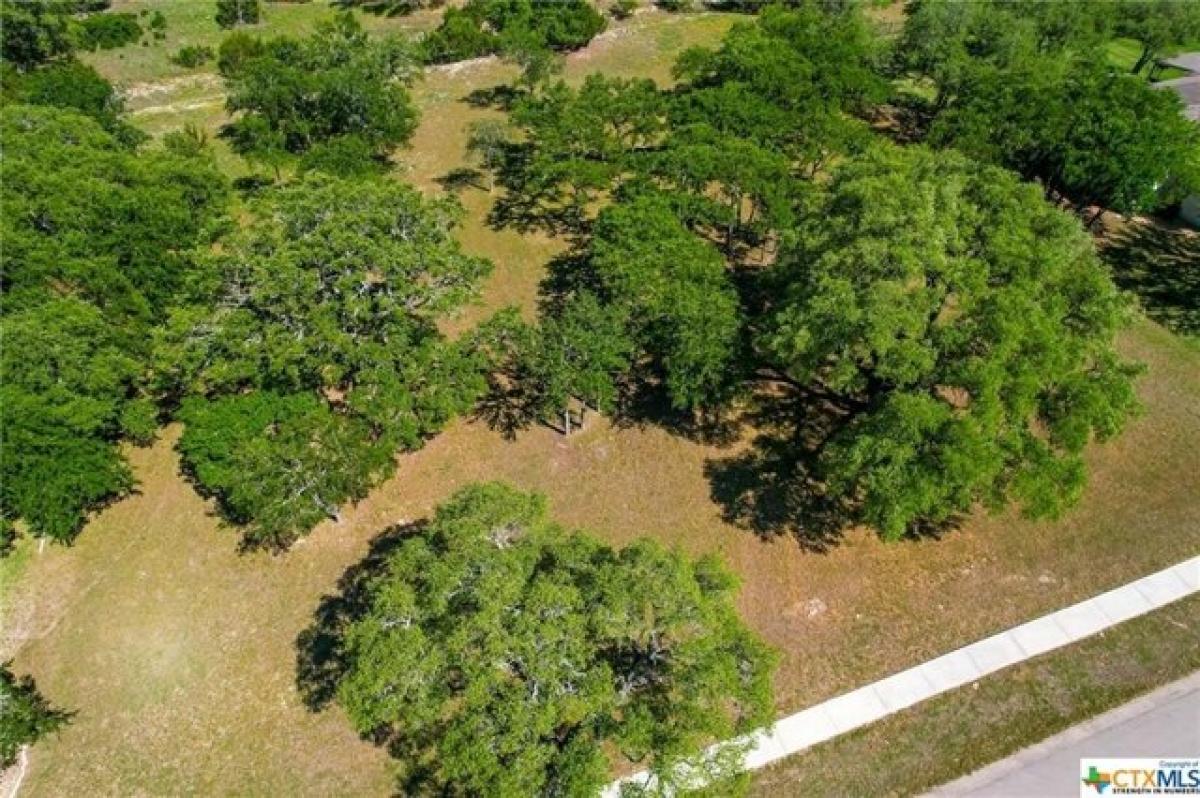 Picture of Residential Land For Sale in Burnet, Texas, United States