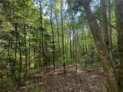 Residential Land For Sale in Waleska, Georgia