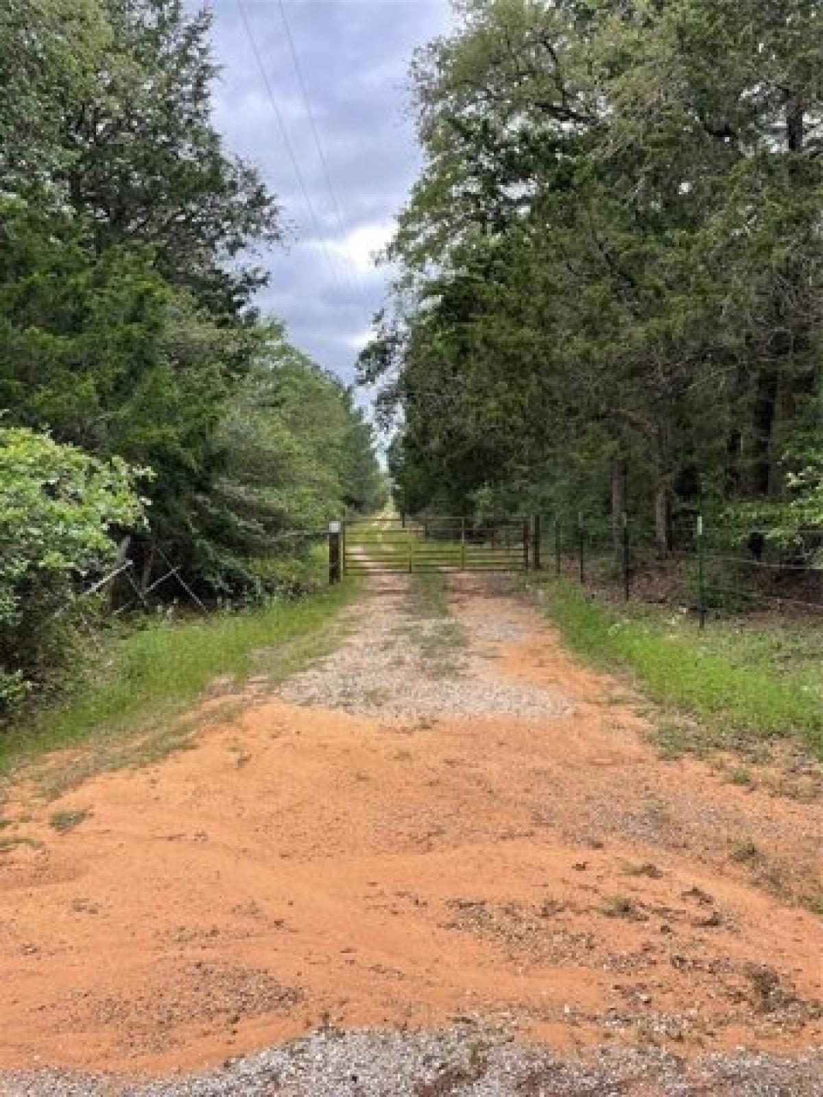 Picture of Residential Land For Sale in Smithville, Texas, United States