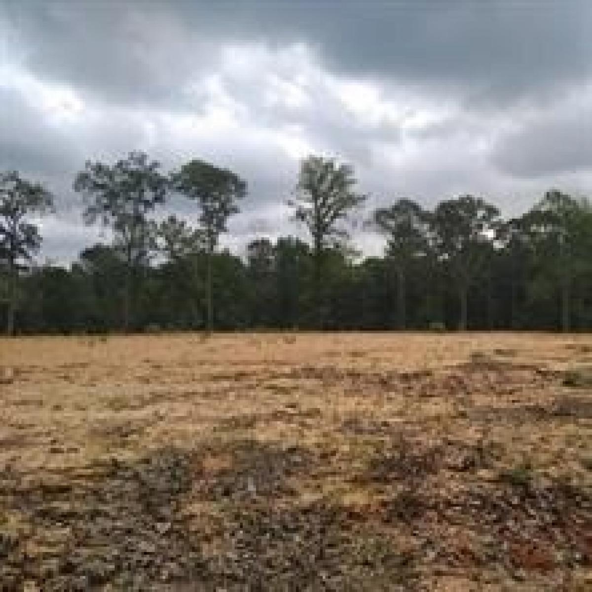 Picture of Residential Land For Sale in Pineville, Louisiana, United States