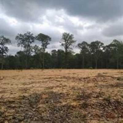 Residential Land For Sale in Pineville, Louisiana