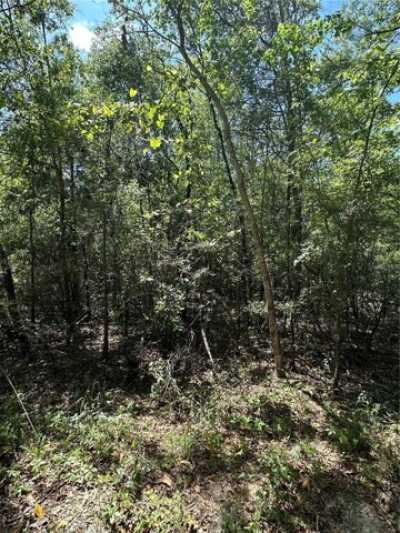 Residential Land For Sale in Bell, Florida