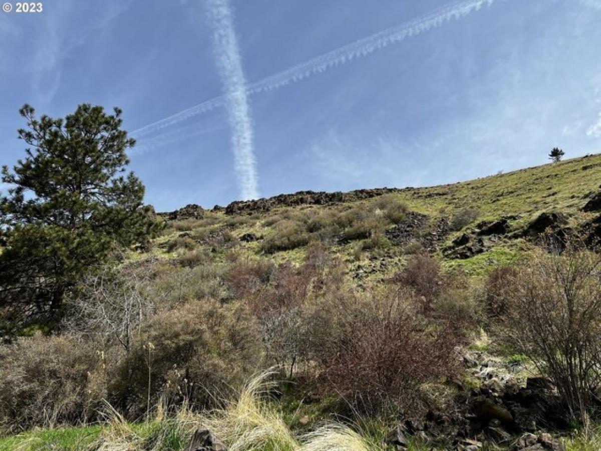 Picture of Home For Sale in Pilot Rock, Oregon, United States