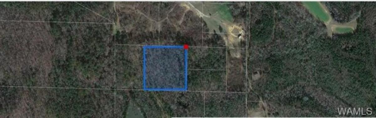 Picture of Residential Land For Sale in Fosters, Alabama, United States