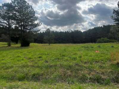 Residential Land For Sale in Water Valley, Mississippi