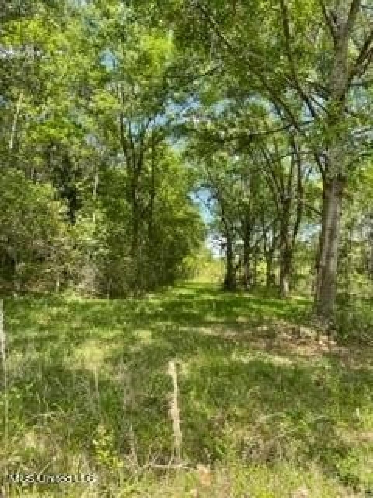 Picture of Residential Land For Sale in Moss Point, Mississippi, United States