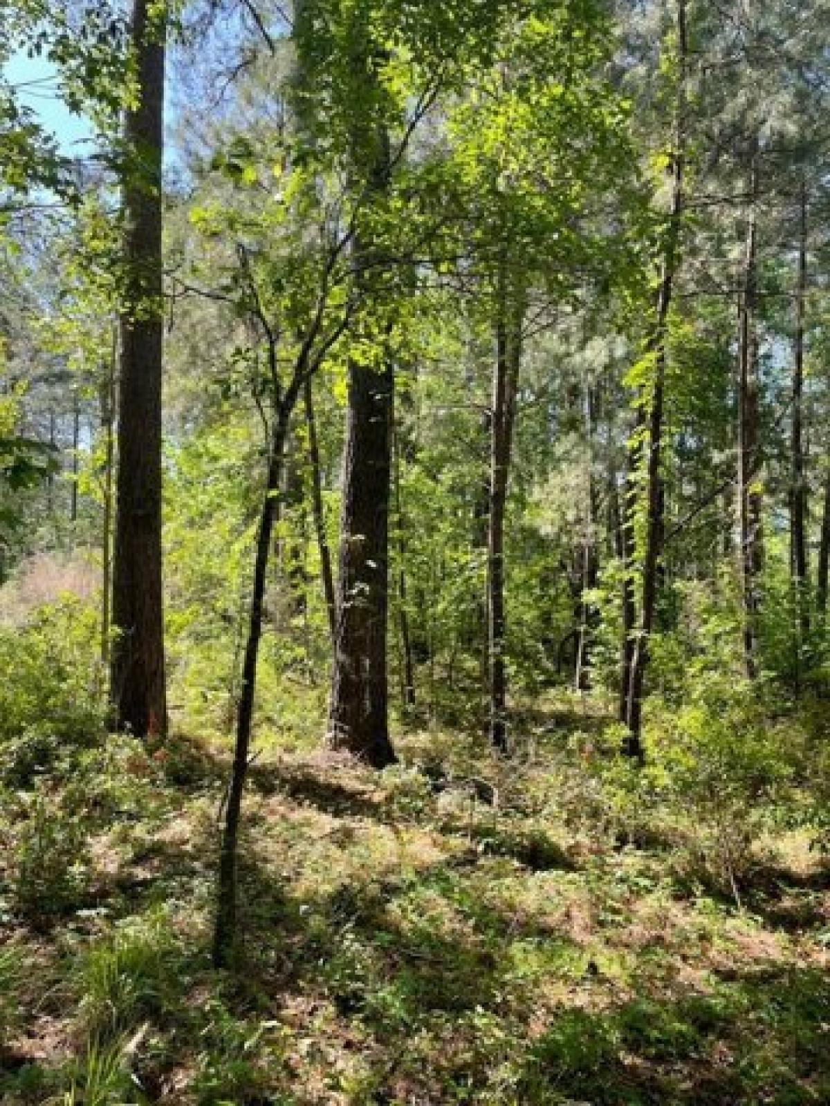 Picture of Home For Sale in Sheldon, South Carolina, United States