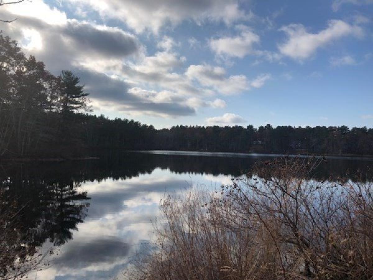 Picture of Residential Land For Sale in Duxbury, Massachusetts, United States