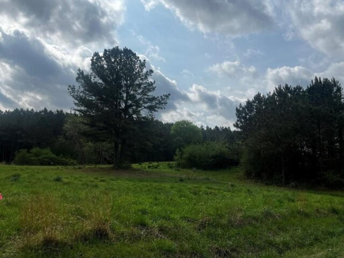 Picture of Residential Land For Sale in Water Valley, Mississippi, United States