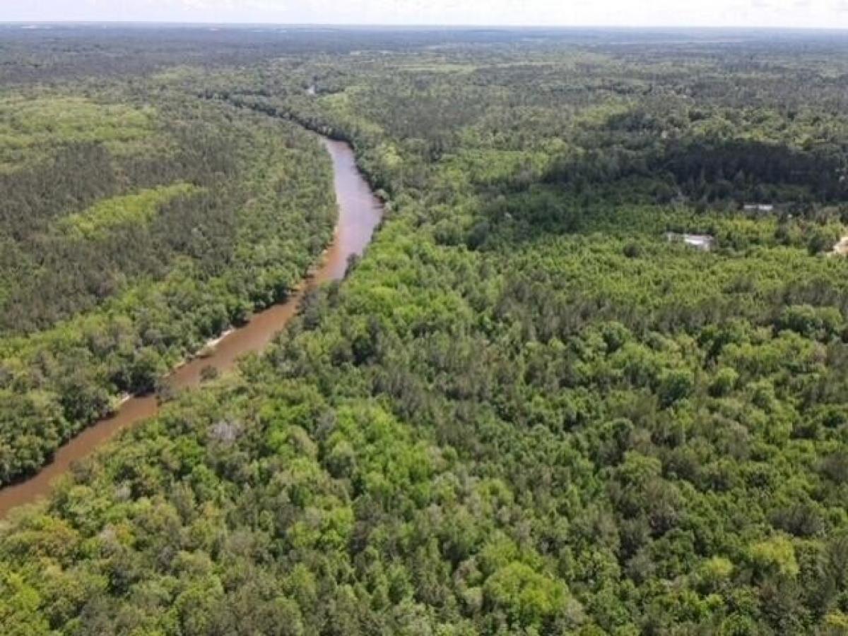 Picture of Residential Land For Sale in Baker, Florida, United States