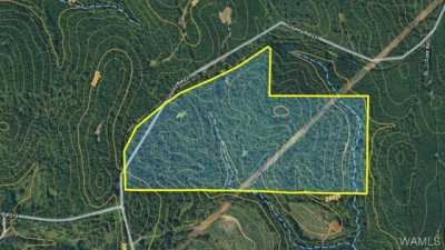 Residential Land For Sale in Eutaw, Alabama