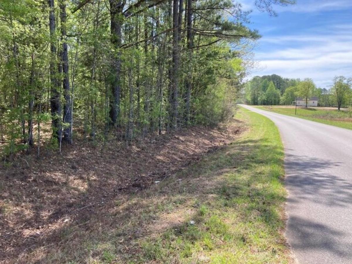 Picture of Residential Land For Sale in Roanoke, Alabama, United States