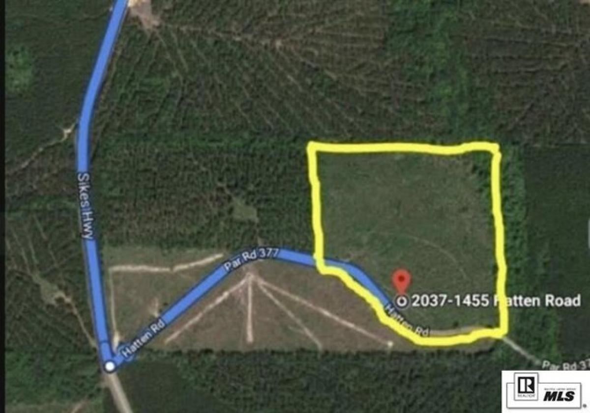 Picture of Residential Land For Sale in Chatham, Louisiana, United States